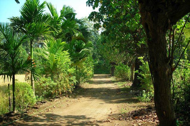 Sindhu Sagar Holiday Home, Alibaug 4